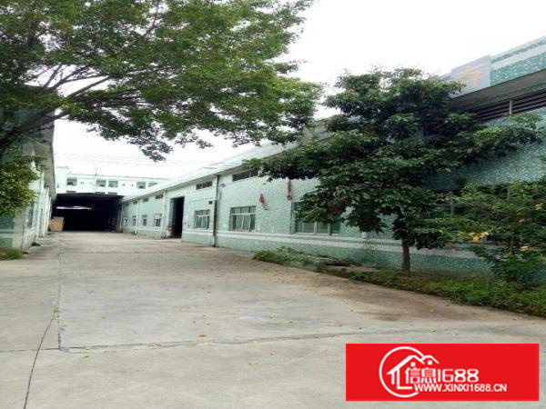 坪山石井路口钢结构厂房出租1260平方