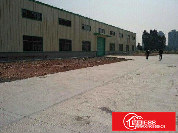 新城工业区钢结构厂房4300平米滴水10米