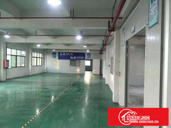 8元包办环评大朗成熟工业园二楼1000平方厂房招租