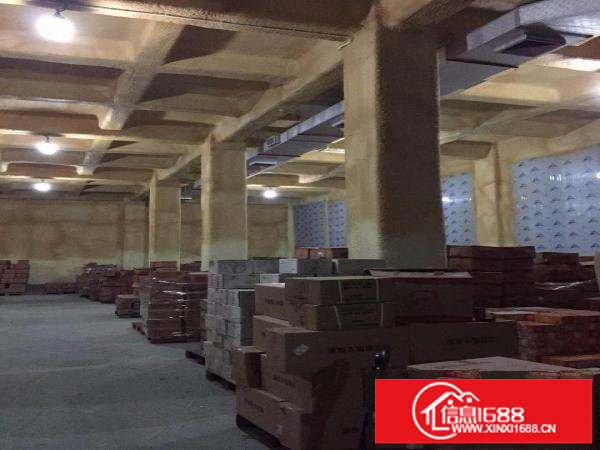 原房东坪山新出冷库5000平可分租