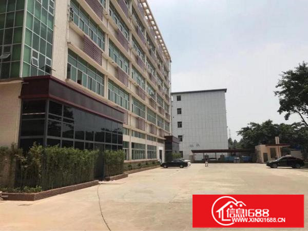 观澜五和大道边精装办公厂房200300出租