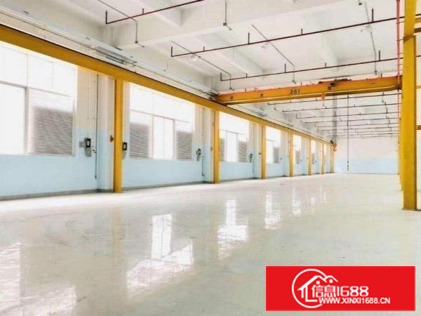 出租虎门镇白沙（8米高带环评）标准一楼厂房2500平