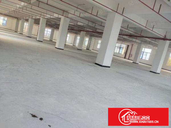 茶山花园式独院厂房分租一楼4000方，高度6米，面积实量。