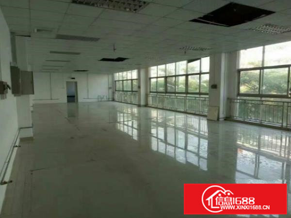 高埗新出标准独院厂房，豪华装修