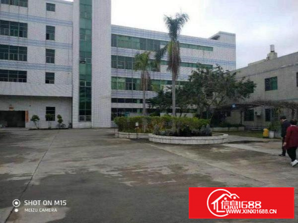 坪山石井金田路边上新出一楼380平出租，实量面积