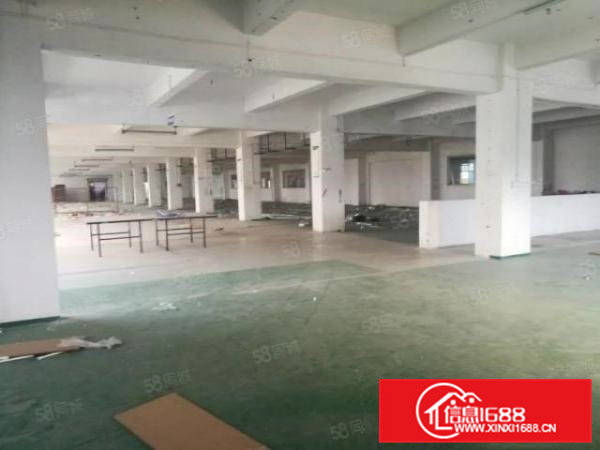 东莞东坑原房东独院厂房3600平方出租没公摊