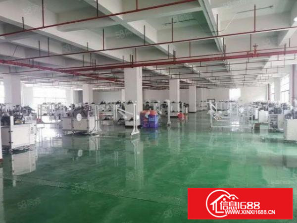 企石镇石排大道旁分租原房东独院标准厂房1200平方一层带装修