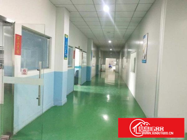 东坑新出原房东楼上600平，带现成办公室装修、现成地坪漆