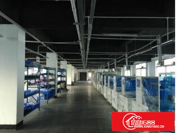 常平塘角独院二三楼2000平米厂房大小分租