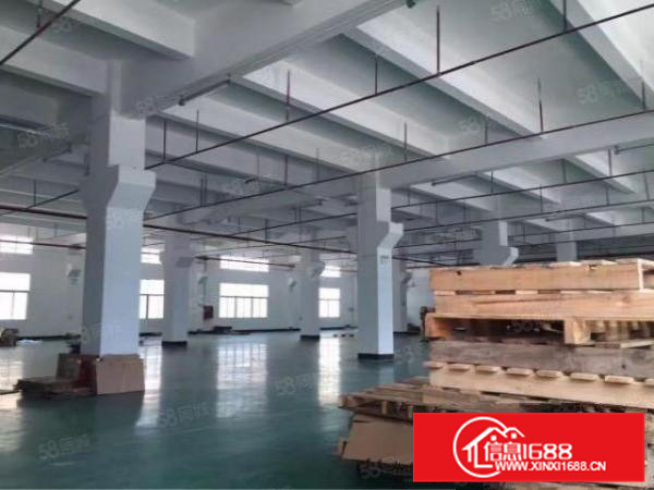 北滘独院10000方，布匹仓库，带喷淋，4台5吨货梯，形象好