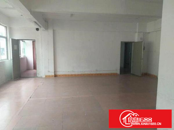 龙华油富商城附近新出300平厂房可分租