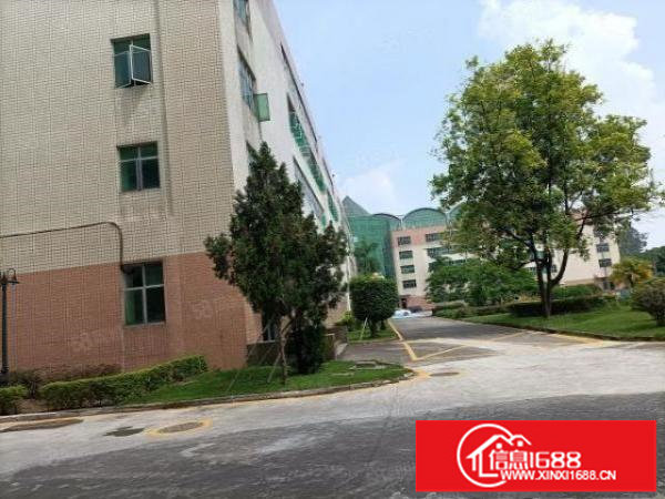 长龙1200平方厂房出租