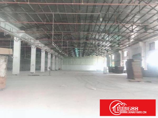 惠阳沙田新出工业园（0公摊）出租钢构厂房2200平