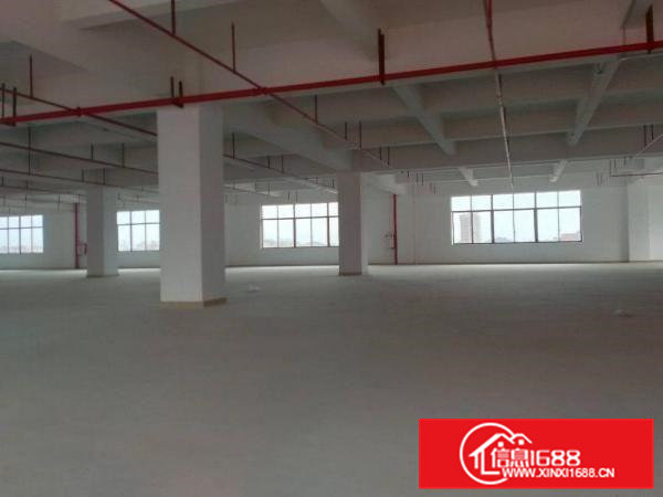 东莞大朗三楼单层1680平方全新厂房出租可以分租