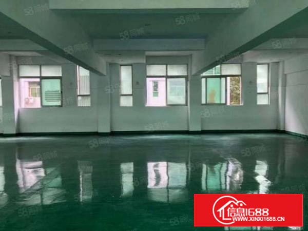 塘厦新出20000平米标准厂房出租可分租