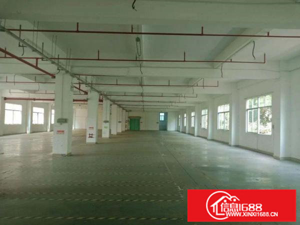 房东直招，精装厂房1300平，建筑面积，坐标：大浪