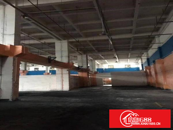 清溪大型工业园标准单一层2600平，高12米，带牛角现成水电