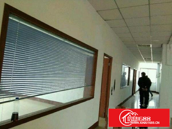 近深圳！凤岗官井头商业心厂房200450平米