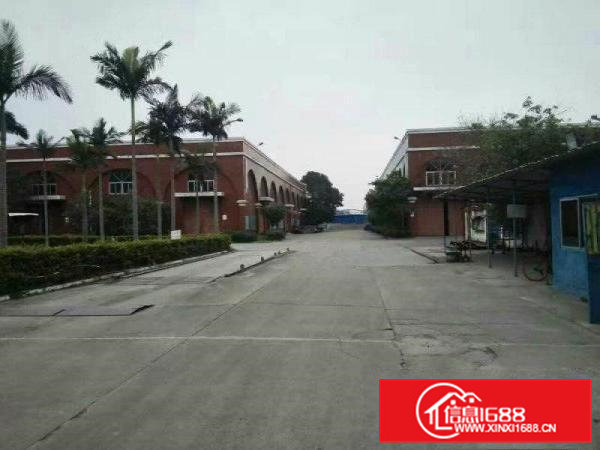 清溪荔横钢构厂房10000平滴水10米带隔热层精装