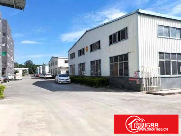 （全包价23000元）清溪业主直租厂房标准带牛单层1300平