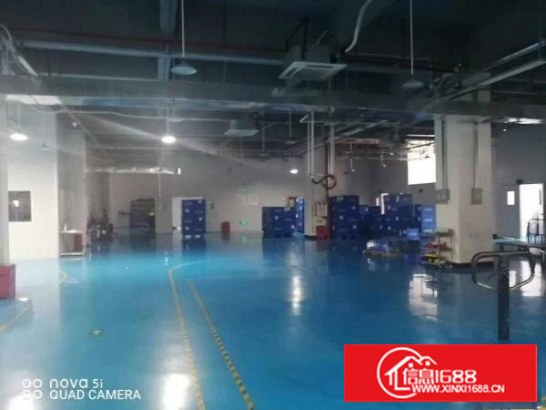 乌沙新安大桥附近全新装修重工业厂房二楼1000平方，拎包入住