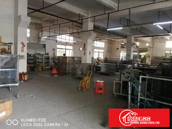 标准一楼出租（带牛角）