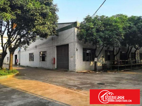 容桂独院单一层简易厂房出租3150方，中高8米。