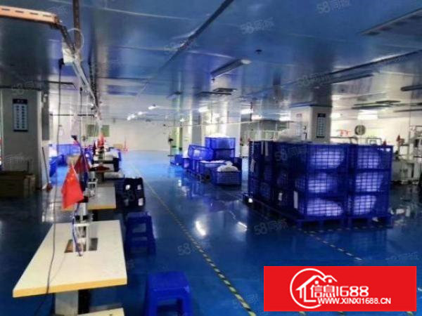 福永新出千级无尘车间整层2200平，精装修水电到位领包入住