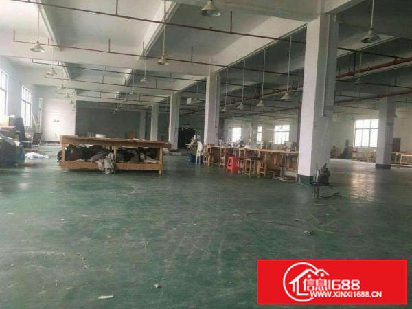 坂田标准厂房一楼1180平方可分租高度6米电100