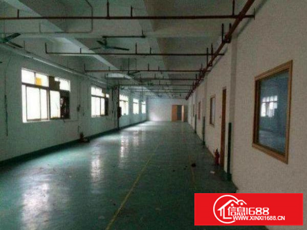平湖富民工业区楼上1000平米标准厂房带牛角火热招租