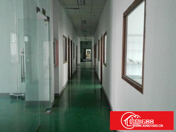 梅观高速1000平2000平带豪华装修办公厂房