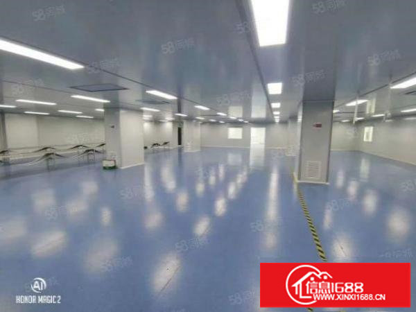 松岗无尘车间1718平，全新装修，原房东厂房