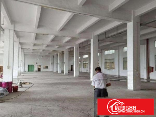 龙岗新生一楼1180平二楼560平厂房出租可分租