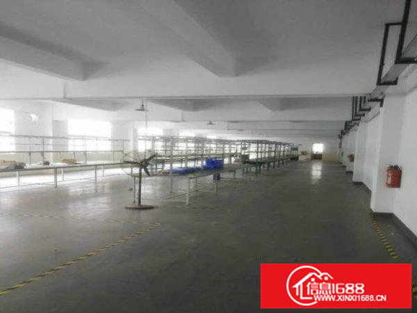 布吉原房东楼上1300平方精装修空地大厂房招租