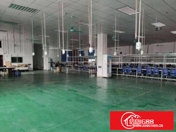 坂田龙壁工业区楼上厂房500平招租，消防合格，行业集中