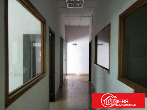 新出厂房1楼1300平，滴水6米，可分租