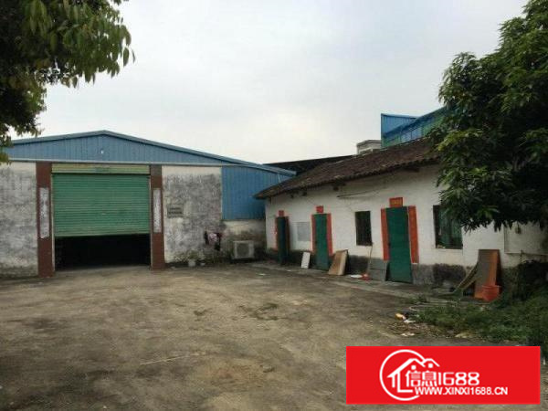 马安新乐独院1楼1500平方钢构厂房出租