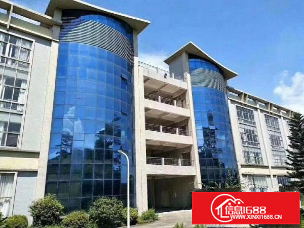 虎门花园式高端大气上档次新厂房招租大小面积可分租