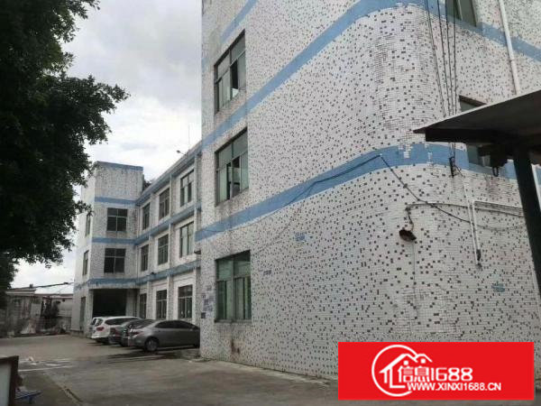 新出6500平方独院厂房出租