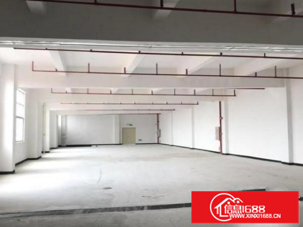 620方?顺德容桂天富来九期全新厂房