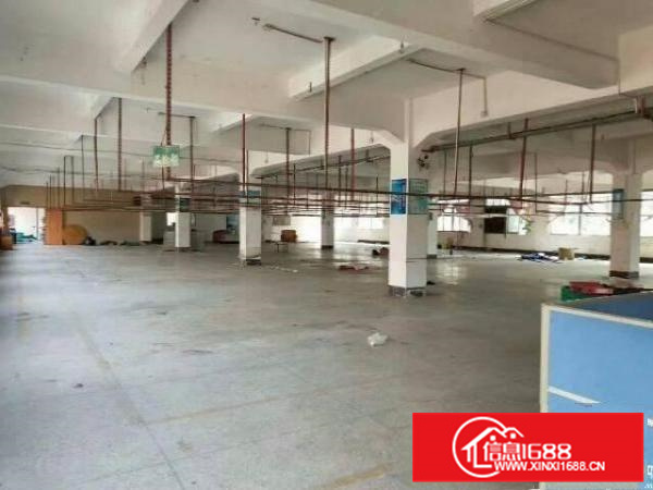 陈江镇近白云山村独院4500方标准厂房出租，可分租