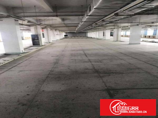 坂田五和一二楼厂房出租200平500平1000平可分租