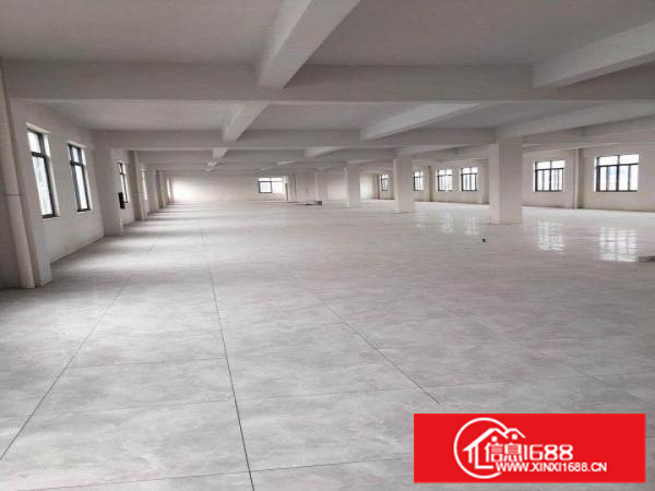 楼上豪华装修1100平方厂房出租