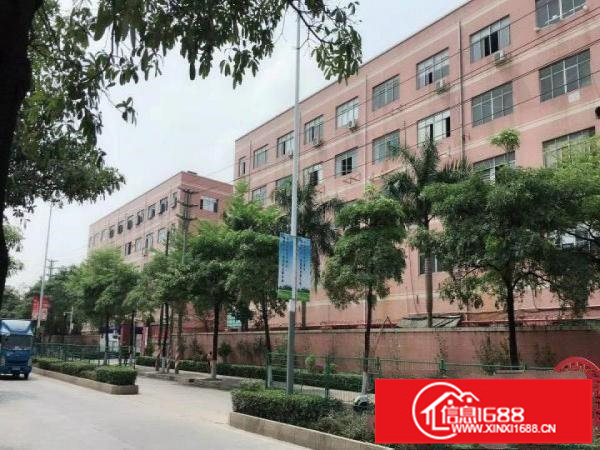 南联原房东独院厂房60000平米出租可分