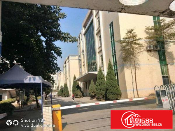 井美168工业区厂房出租1300㎡