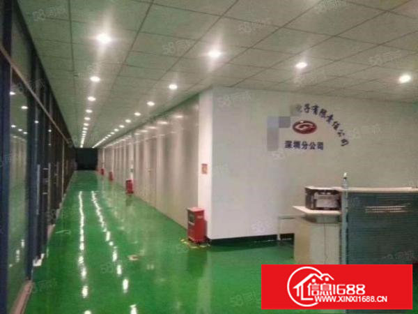 松岗主干道边1000平方厂房出租超大空地厂房分租独门独院