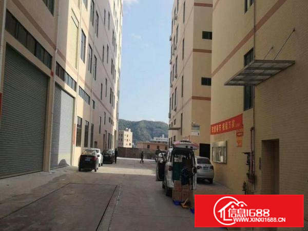 清溪镇全新重工业标准厂房20000平方分租