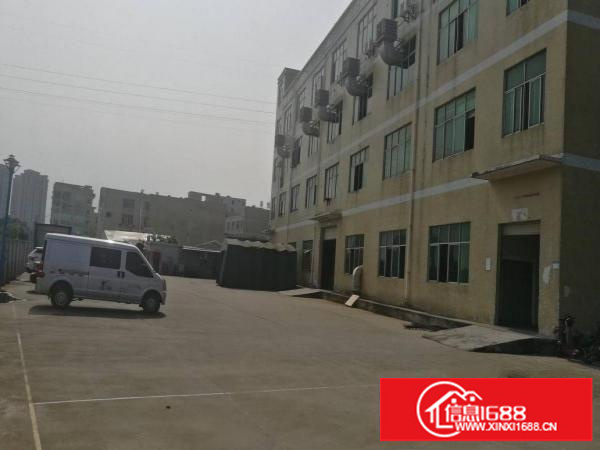 南联一楼便宜厂房1250平方可分租