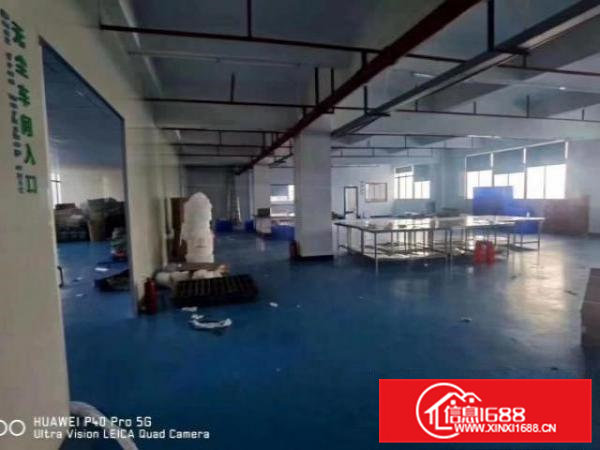 寮步新出无尘车间1650平低价出租，紧靠松山湖大道