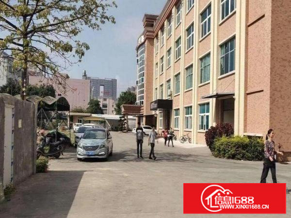 平山全新500平厂房出租豪华装修水电齐全带电梯